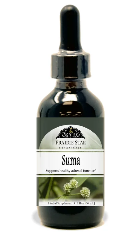 Exploring Suma Root: A Journey into Brazilian Ginseng Tradition