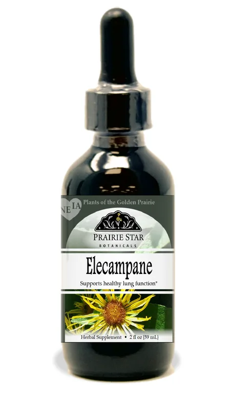 Elecampane