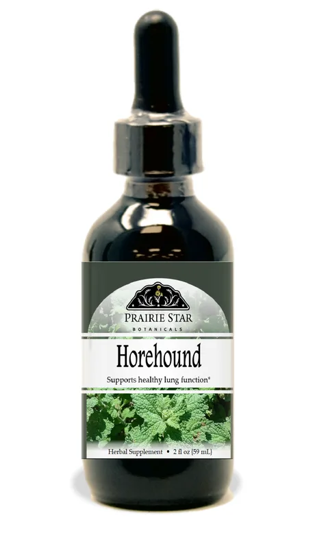 Exploring Horehound: A Valued Botanical for Wellness Routines