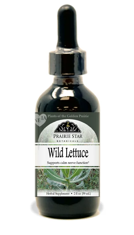 Wild Lettuce
