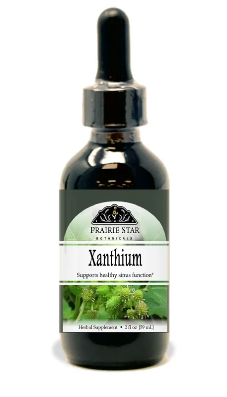 Xanthium: A Botanical Companion for Your Wellness Journey