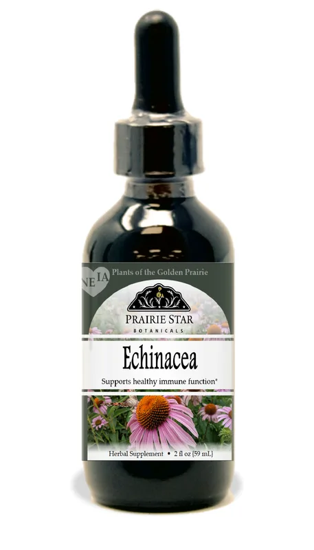 Echinacea