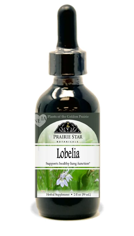 Lobelia