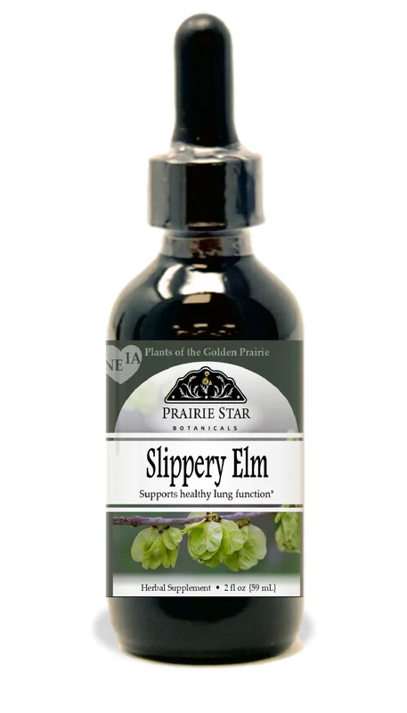 Slippery Elm