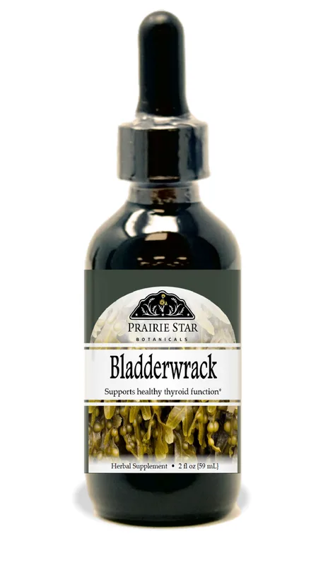 Bladderwrack