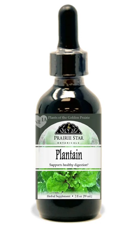 Plantain