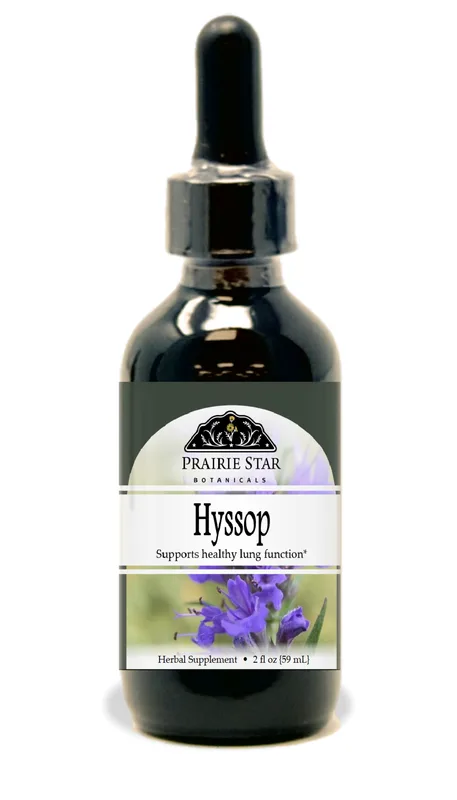 Hyssop