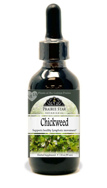Chickweed