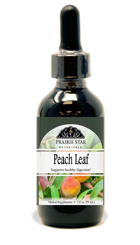 Peach Leaf Extract: A Cherished Botanical in Daily Wellness Rituals