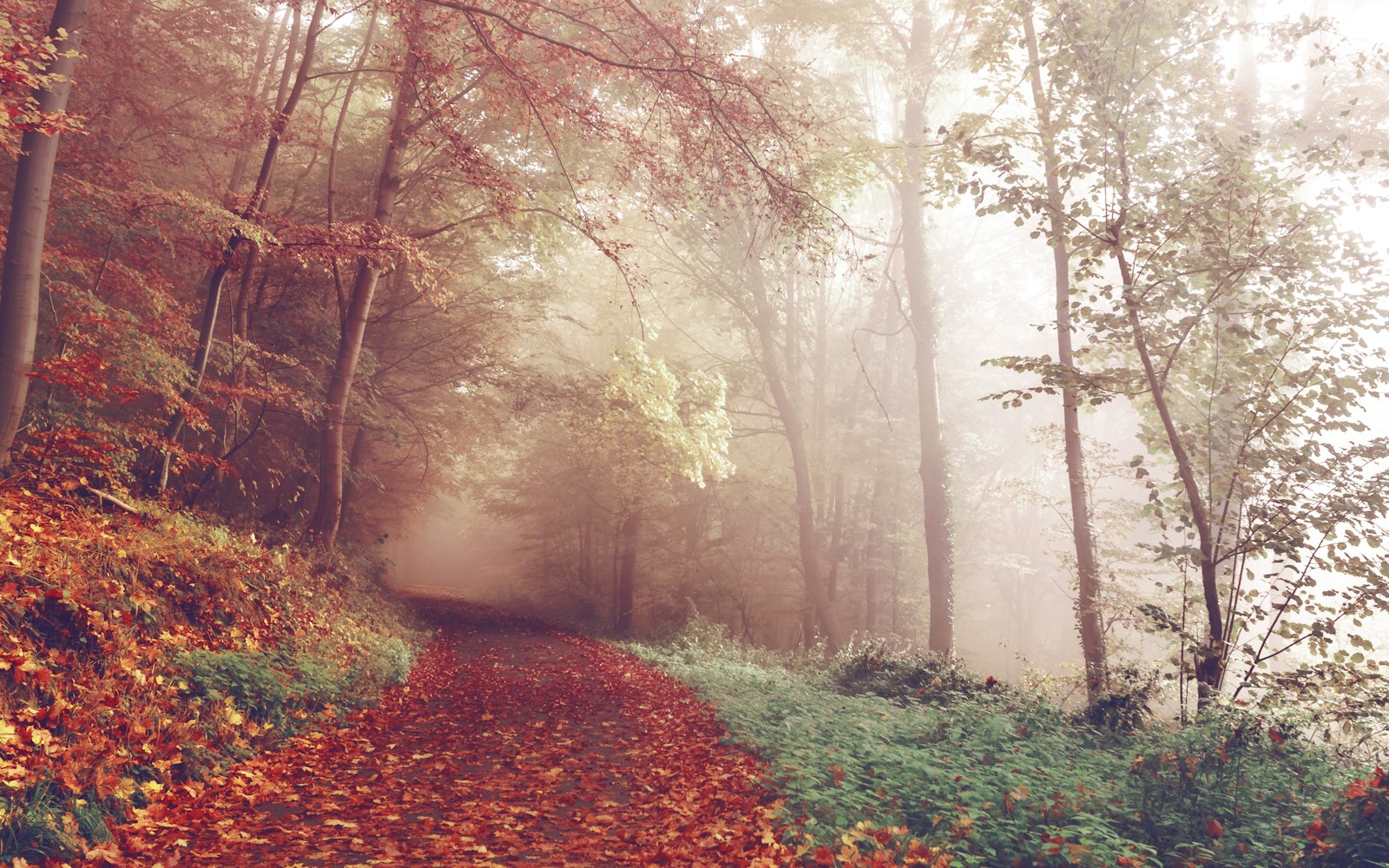 The Autumn Equinox: A Time for Gathering